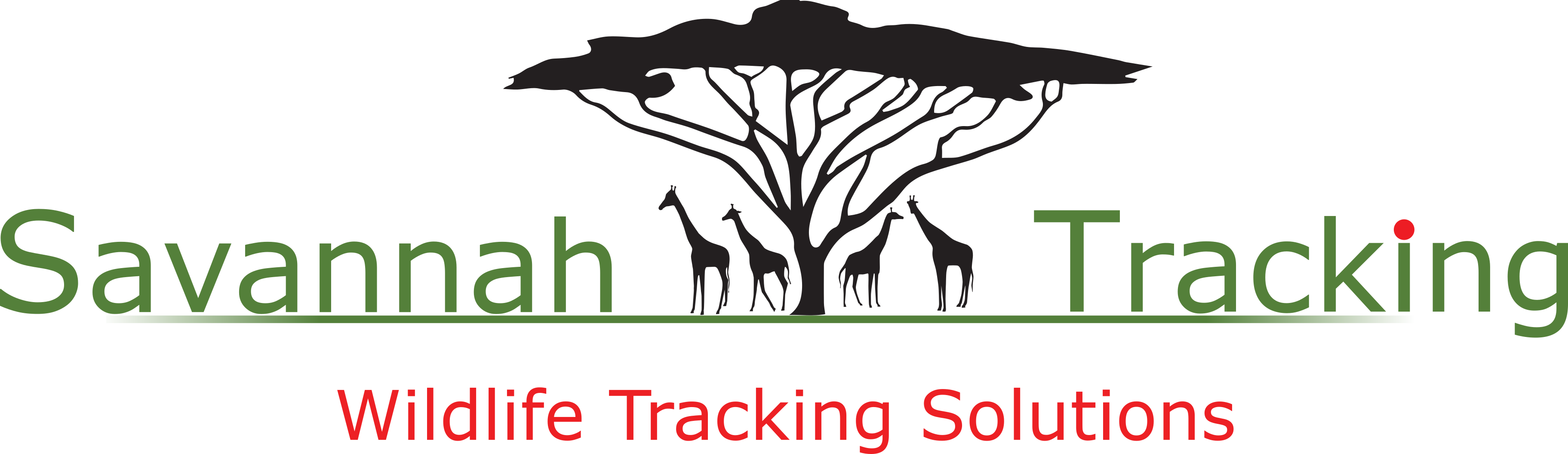 Savannah Tracking - Wildlife Tracking Solutions