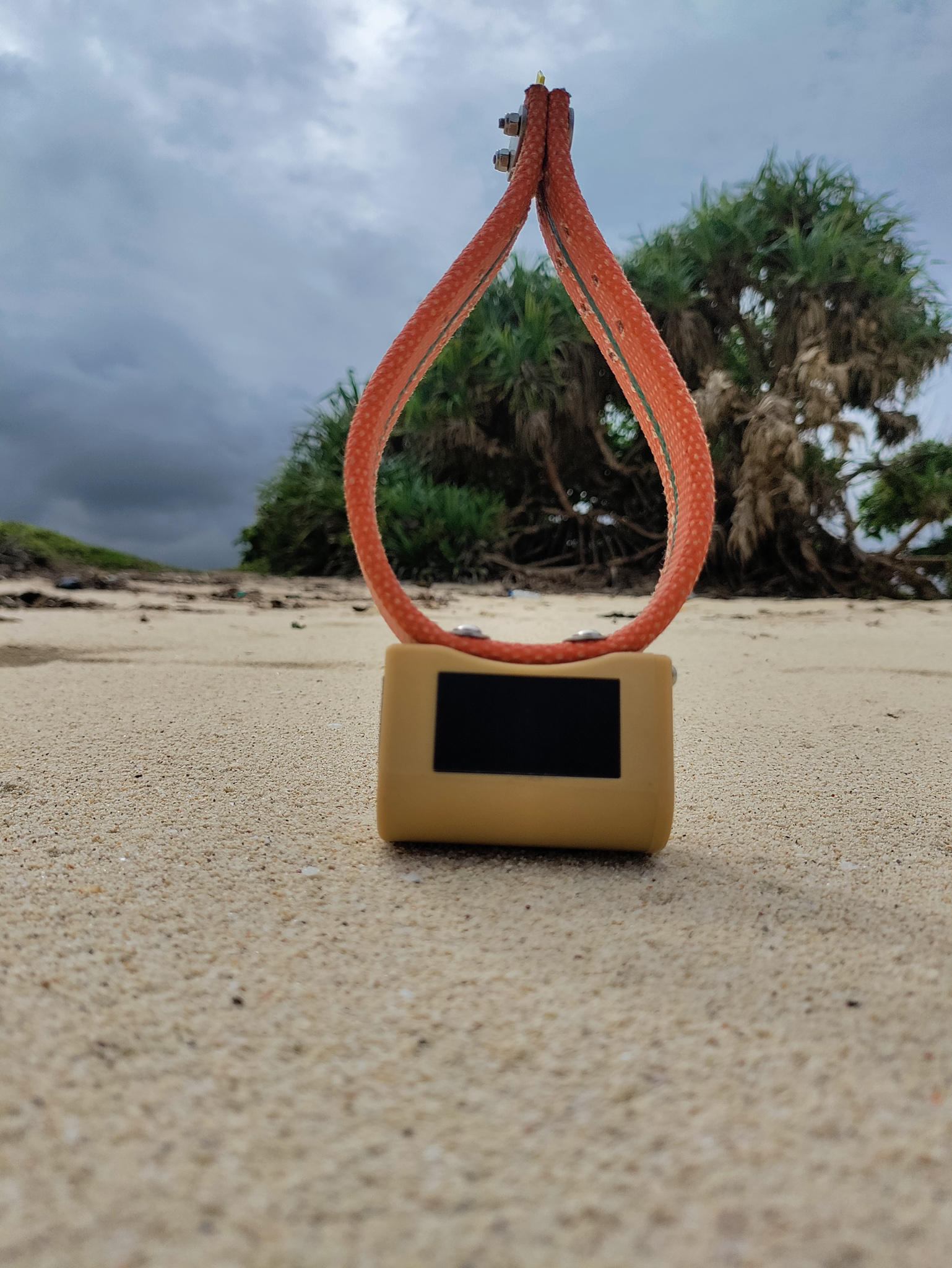 LoRa/Kineis tracking collar with solar housing
