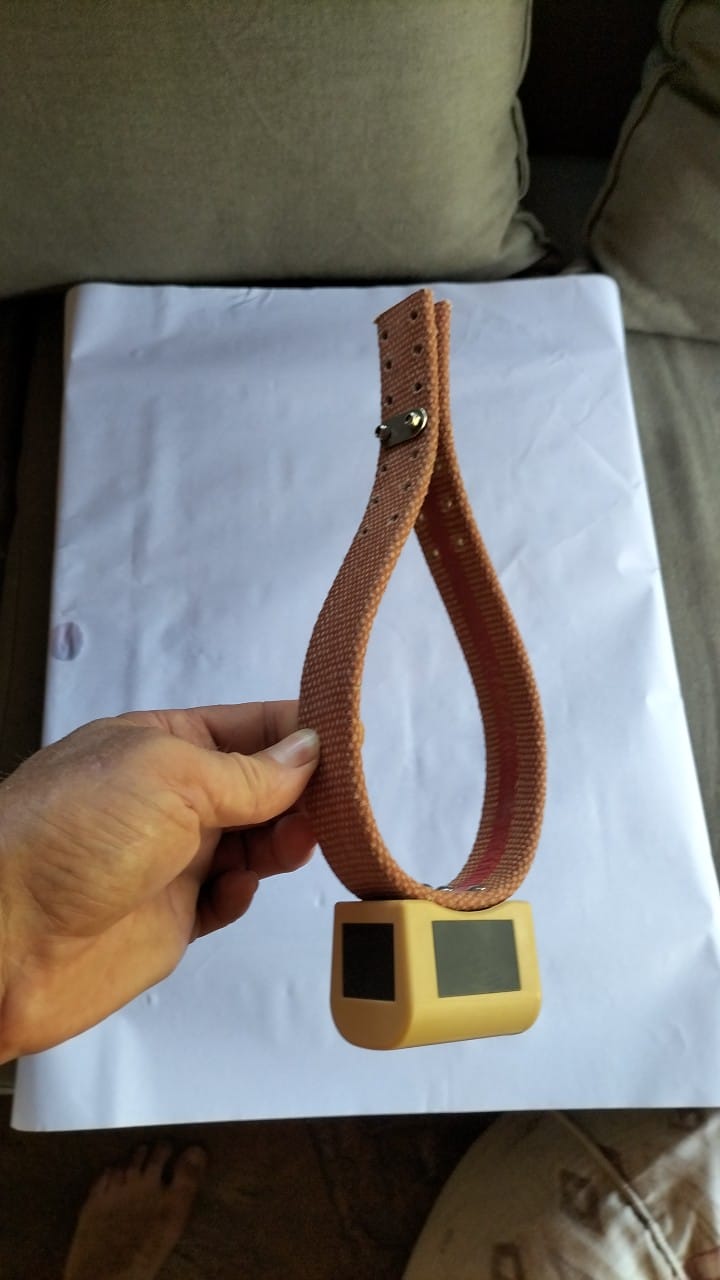 Solar-powered tracking collar with engraved Savannah Tracking housing