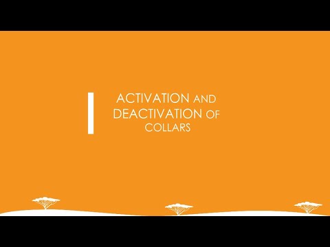 Video thumbnail: Collar Activation