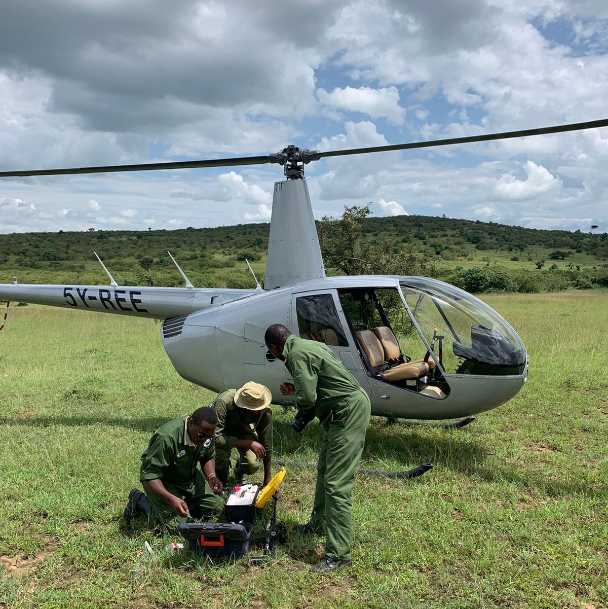 Field team with a helicopter during a wildlife tracking operation
